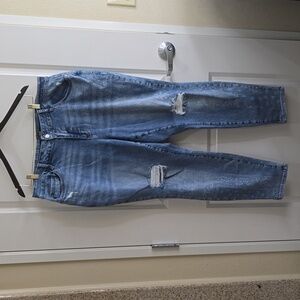JudyBlue Distressed Boyfriend Fit Jeans‎ Size 20W
